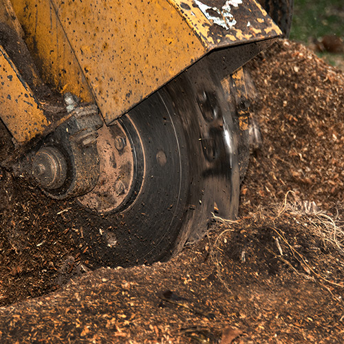 Dosko Stump Grinder