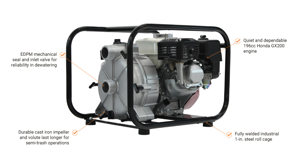 IMG_1-FEATURES_BRAVE_BRP200TP2_PUMP.jpg