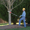 Picture of Honda VersaAttachment | Pole Pruner