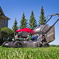 Picture of Honda Mower | Walk Behind | Variable Speed | 21 in.