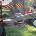 Picture of Dosko Stump Grinder | 20 HP Self-Propelled | Honda GX630