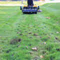 Picture of Maxim Plug Aerator | 36-In. Tow-Behind