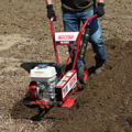 Picture of Maxim Compact Tiller | Honda GX120