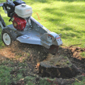 Picture of Dosko Stump Grinder | 13 HP Walk-Behind | Honda GX390