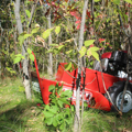 Picture of Maxim Brush Cutter | 26-In. Cutting Width | Honda GXV390