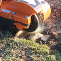 Picture of Brave Stump Grinder | 14 HP Kohler