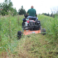 Picture of Brave Rough Cut Mower| 44-In. Towable | Honda GXV630