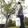 Picture of Strongway Poly Portable Sprayer | 2-Gal | 45 PSI