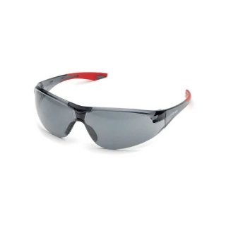 Picture of Delta Plus Avion Eyewear | Gray Hc/Pc Lens | Red Temple Tips